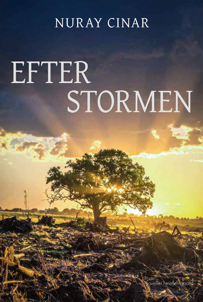 EFTER STORMEN