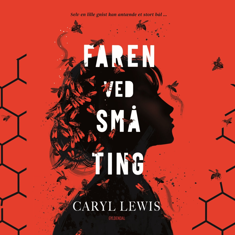 Faren ved små ting