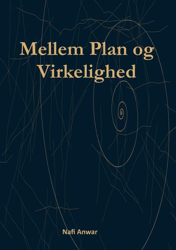 Mellem Plan og Virkelighed
