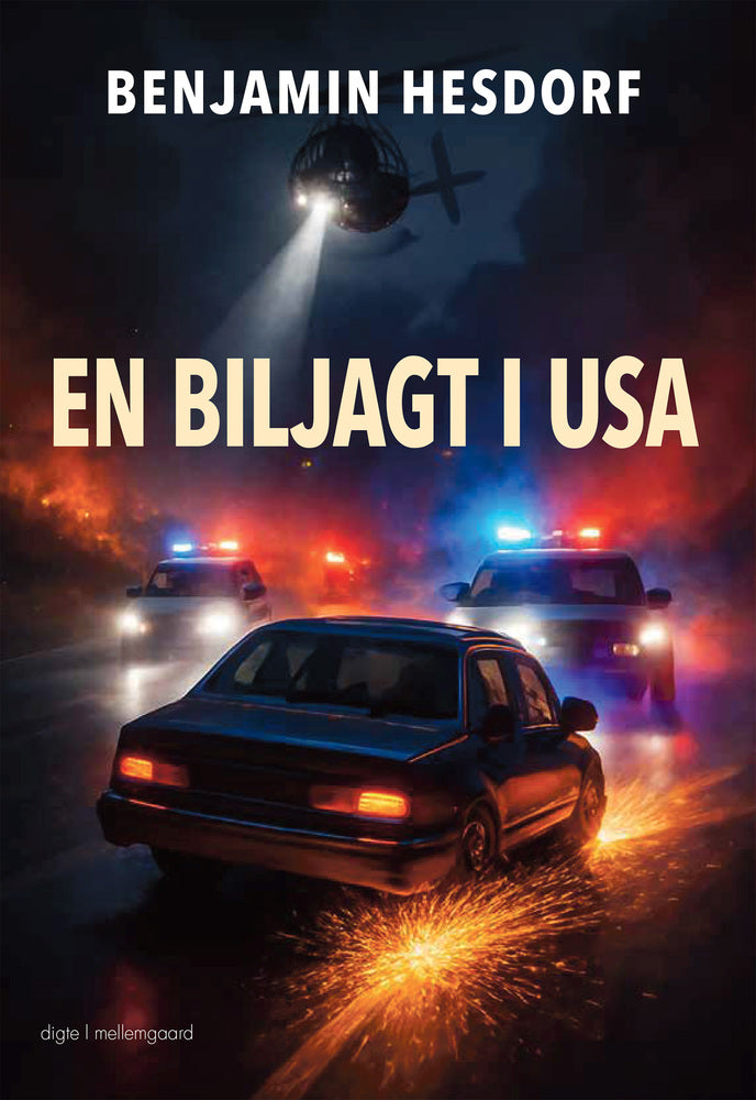 EN BILJAGT I USA