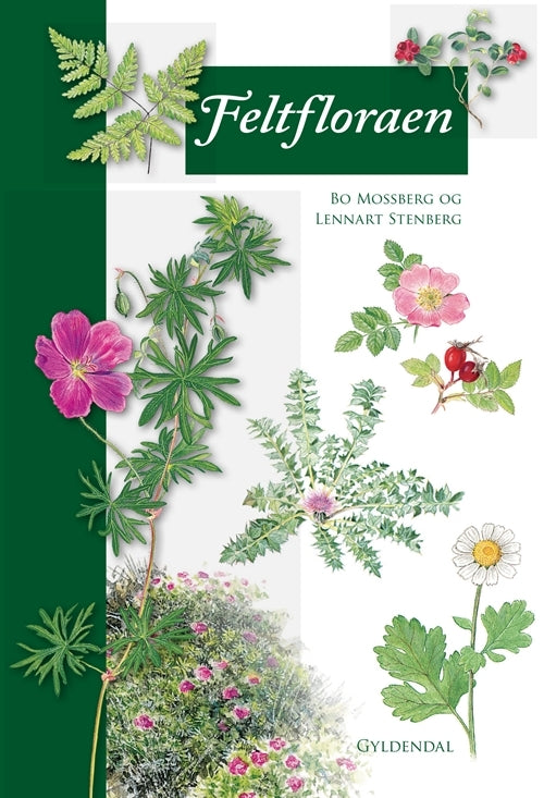 D1 Feltfloraen