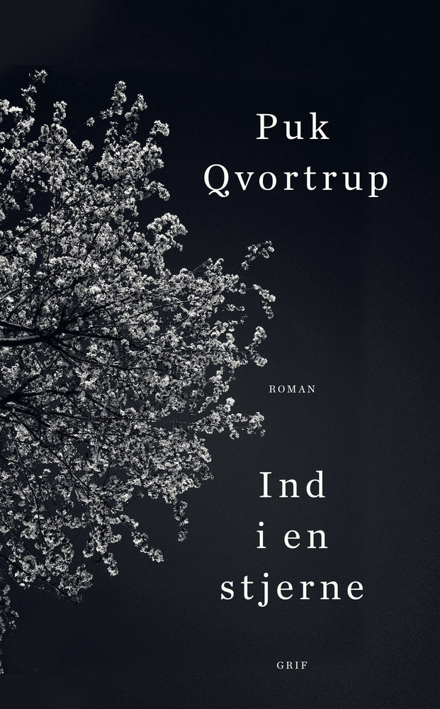 D1 Ind i en stjerne