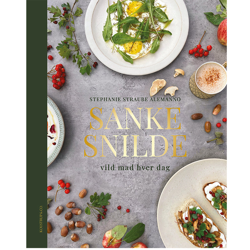 D1 SANKESNILDE