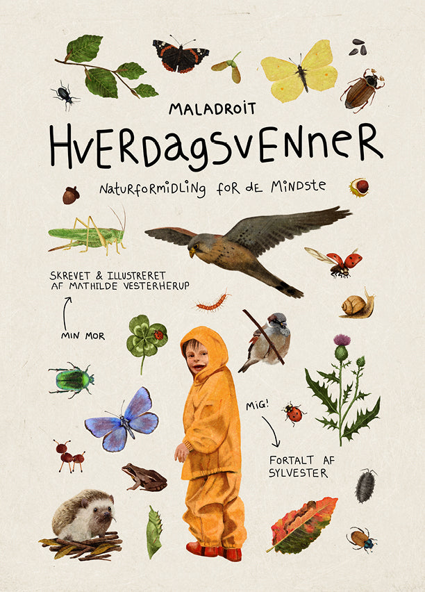 D1 Hverdagsvenner