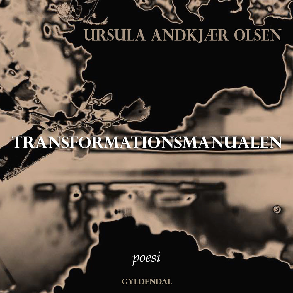 Transformationsmanualen
