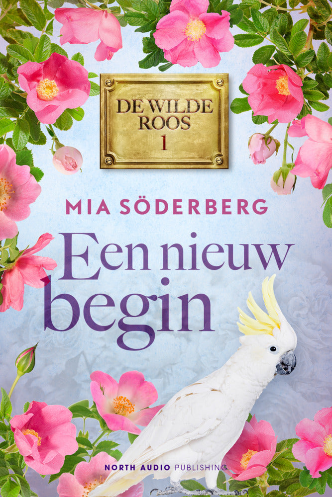 Een nieuw begin