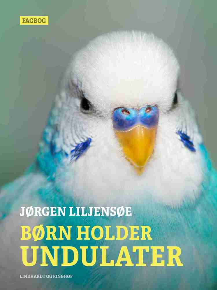 D1 Børn holder undulater