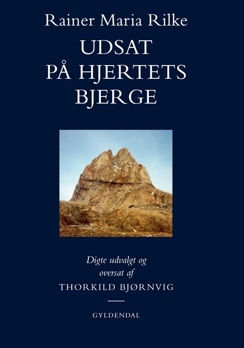 D2 Udsat på hjertets bjerge