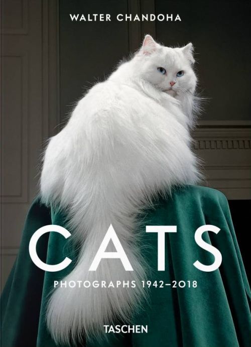D2 Walter Chandoha. Cats. Photographs 1942-2018