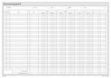 Kasserapport Mayland kasse/bank/giro+ekstra kolon 29,7x22,8
