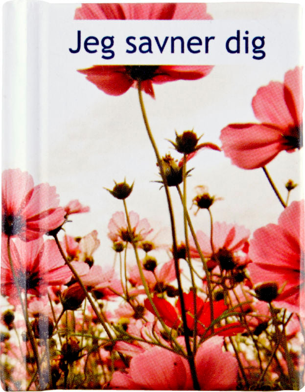 JEG SAVNER DIG