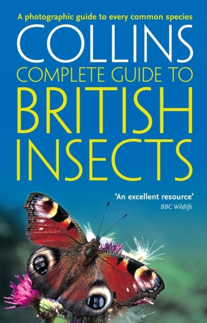 British Insects A Photographic Guide To Every Common Species