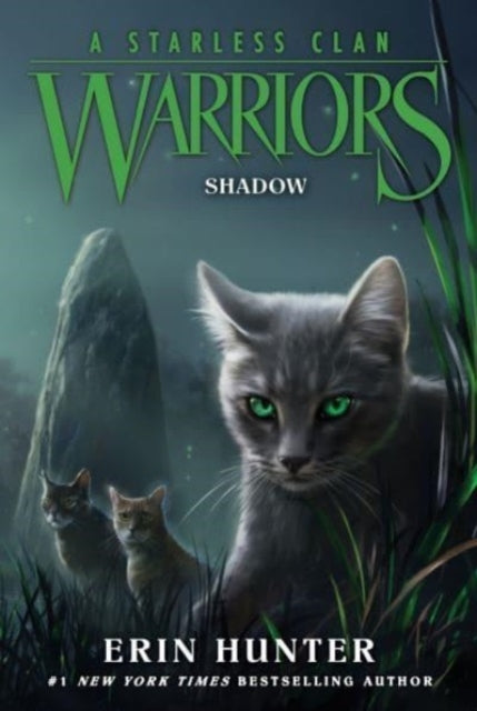 D1 Warriors a Starless Clan #3 Shadow