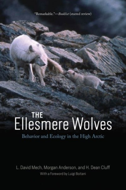 The Ellesmere Wolves Behavior and Ecology In The High Arctic