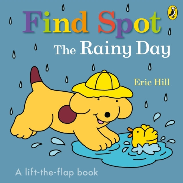 Find Spot: the Rainy Day
