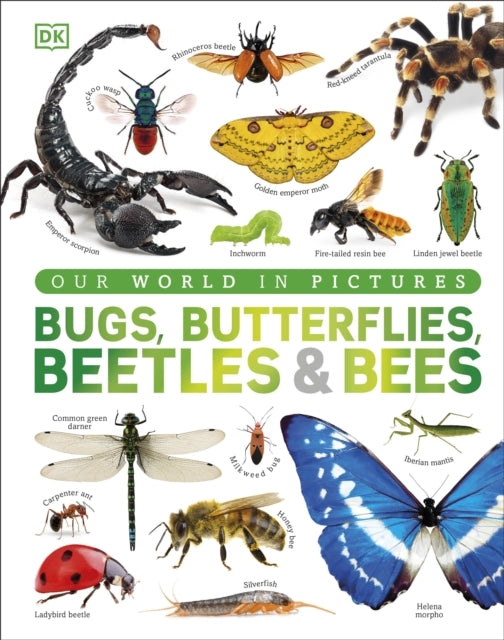 Bugs, Butterflies, Beetles and Bees