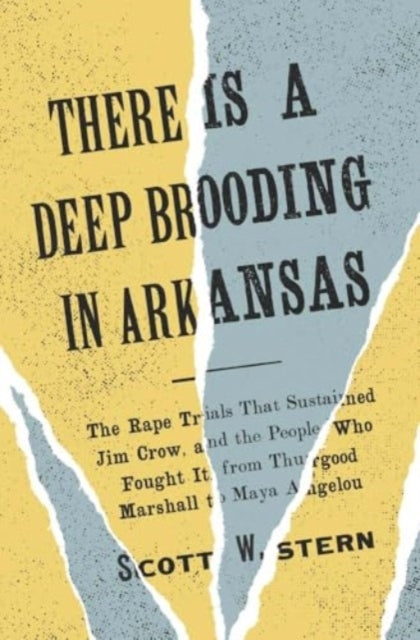 There Is A Deep Brooding In Arkansas The Rape Trials That Su
