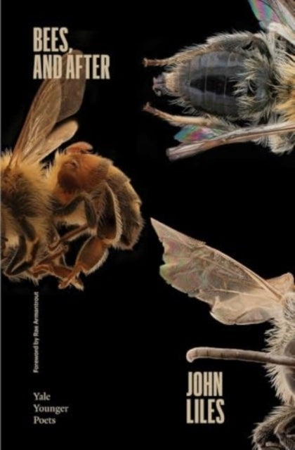Bees, And After