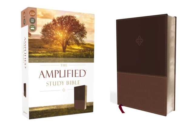 Amplified Study Bible [Brown]