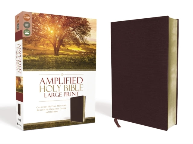 Amplified Holy Bible Large Print Bonded Leather Burgundyc