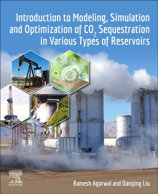 Introduction To Modeling, Simulation And Optimization Of Co2