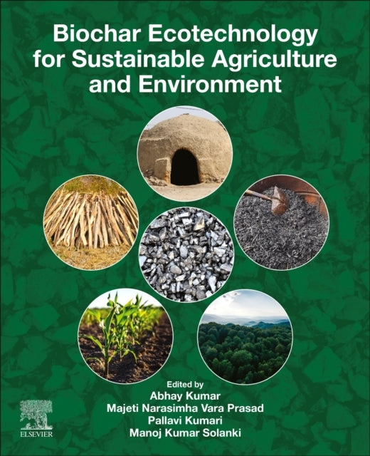 Biochar Ecotechnology For Sustainable Agriculture And Enviro