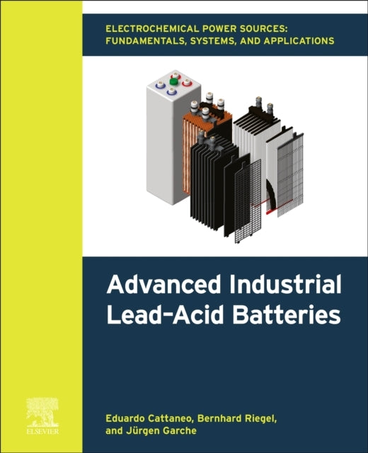Electrochemical Power Sources: Fundamentals, Systems, and Ap