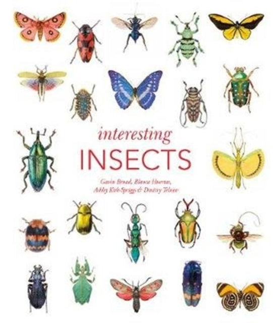 Interesting Insects