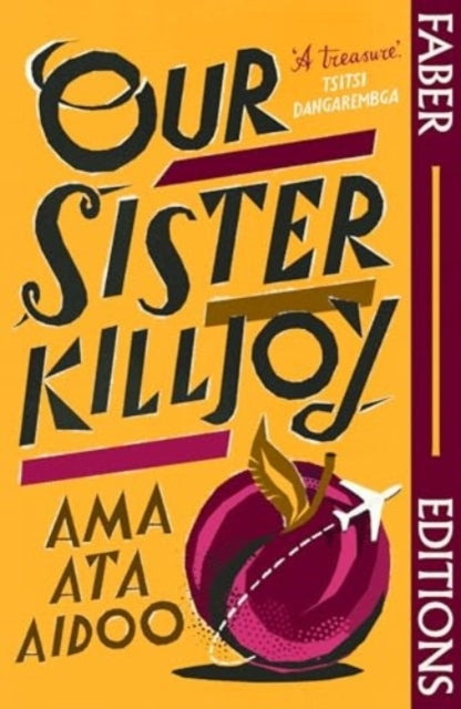 Our Sister Killjoy Faber Editions