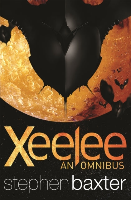 Xeelee an Omnibusraft Timelike Infinity Flux Ring