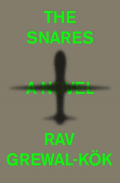 The Snares A Novel