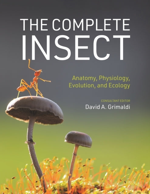 The Complete Insectanatomy Physiology Evolution and Ecolo