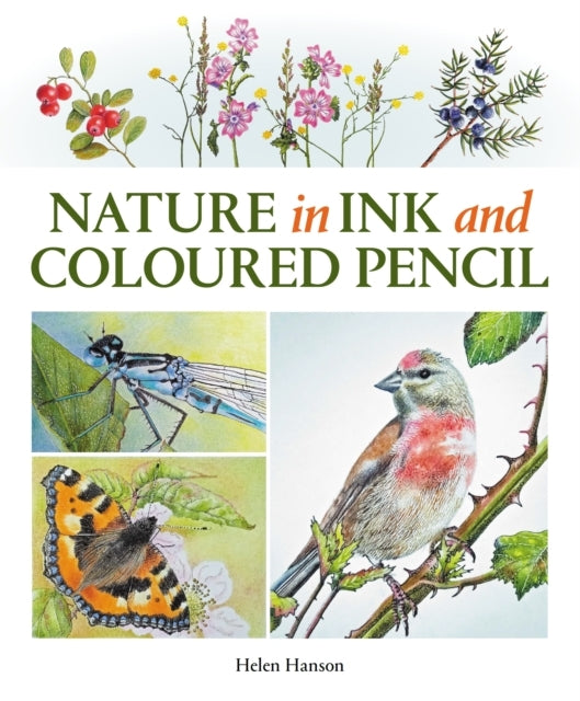Nature In Ink and Coloured Pencil