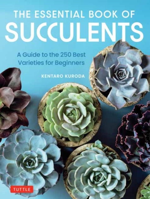 The Essential Book Of Succulents