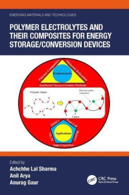 Polymer Electrolytes and Their Composites For Energy Storage