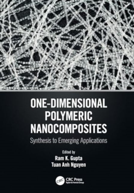One-Dimensional Polymeric Nanocomposites Synthesis To Emergi