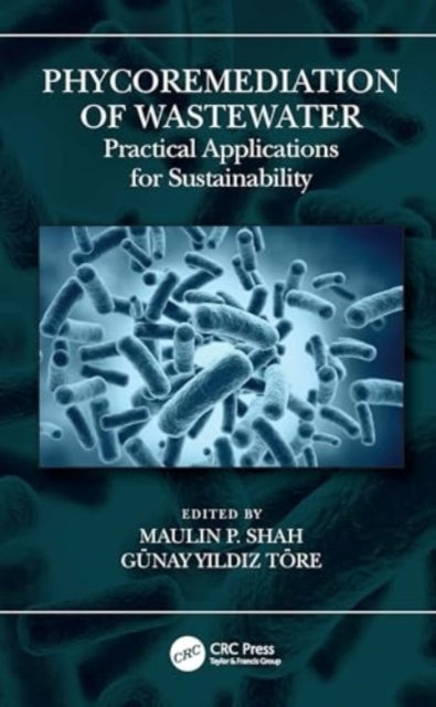 Phycoremediation Of Wastewater Practical Applications For Su