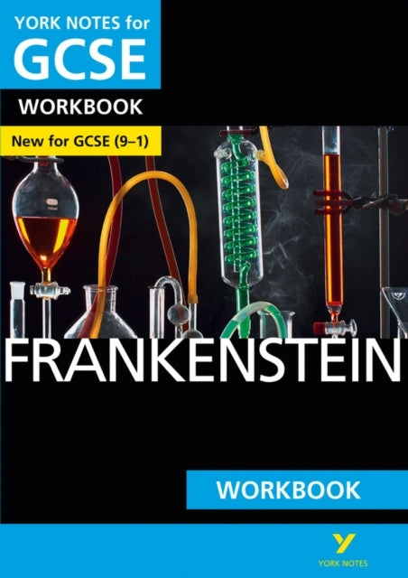 Frankenstein: York Notes For Gcse Workbook - The Ideal Way T