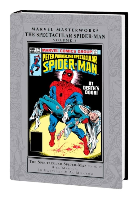 Marvel Masterworks the Spectacular Spider-man Vol. 6