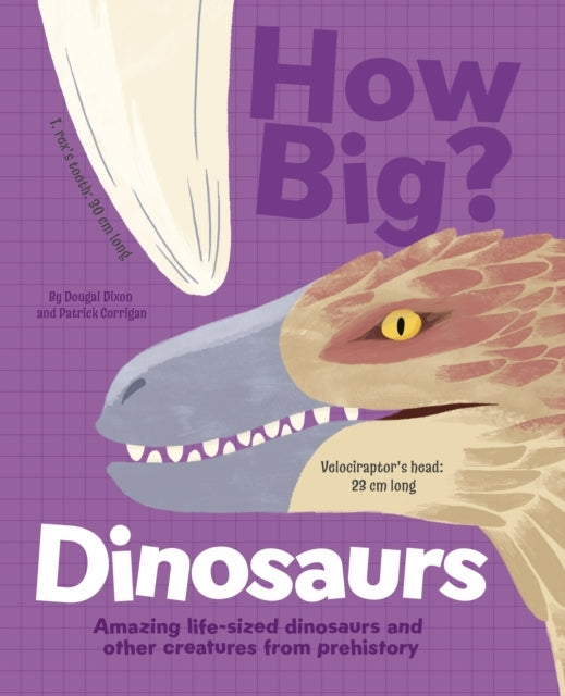 How Big? Dinosaurs Amazing Life-Sized Dinosaurs and Other Cr