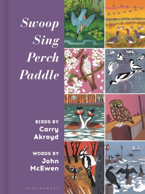 Swoop Sing Perch Paddle Birds By Carry Akroyd