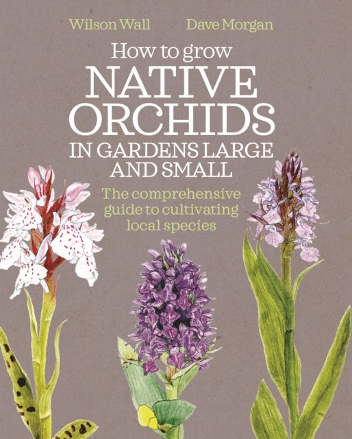 How To Grow Native Orchids In Gardens Large And Small The Co