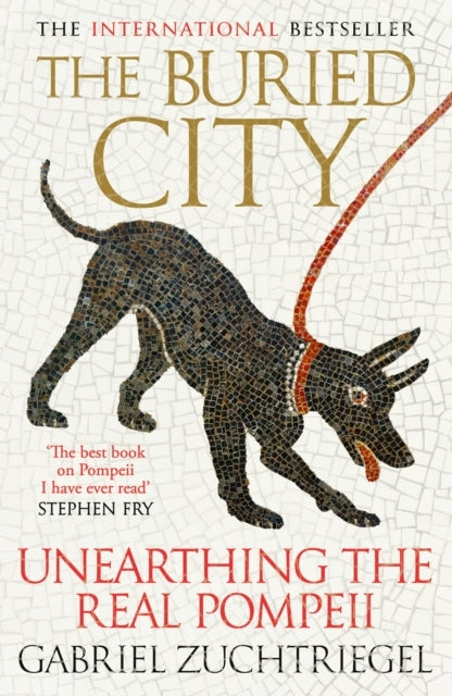 The Buried City: Unearthing the Real Pompeii