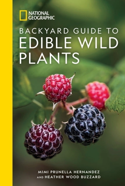 National Geographic Backyard Guide To Edible Wild Plants