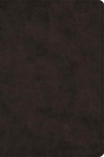 Esv Large Print Bible