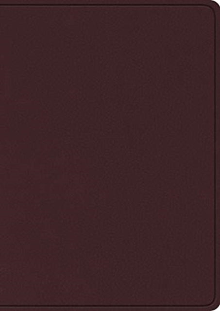Esv Study Bible, Large Print