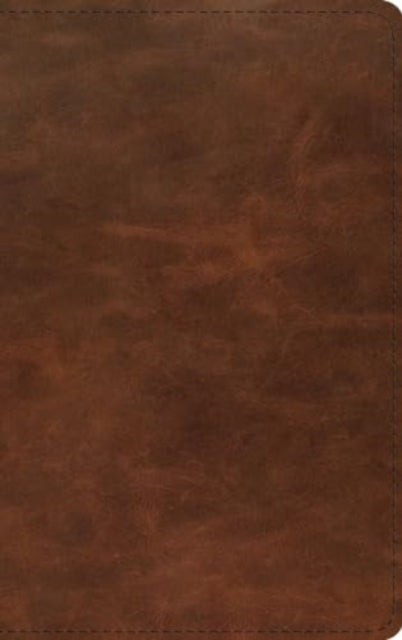 Esv Thinline Bible Red Letter