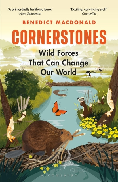 Cornerstones Wild Forces That Can Change Our World