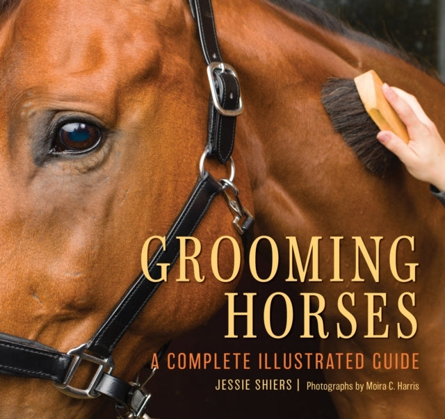 GROOMING HORSES A COMPLETE ILLUSTRATED GUIDE