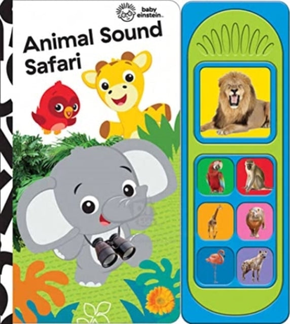 Animal Sound Safari